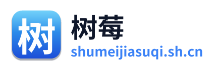 树莓加速器 Logo